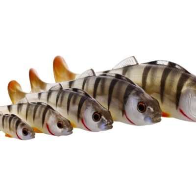 WESTIN ORIGINAL PERCH 12CM