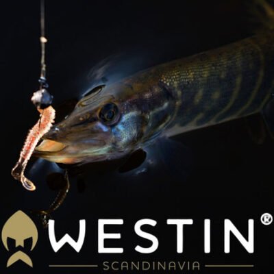Westin